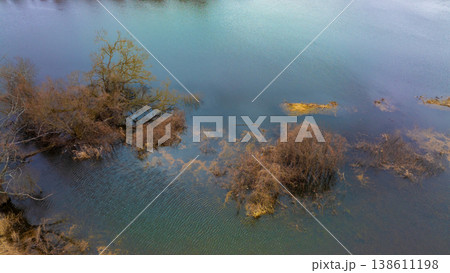 Aerial view of a serene lake with trees and vegetation floating on the waters surface in shades of brown and blue 138611198