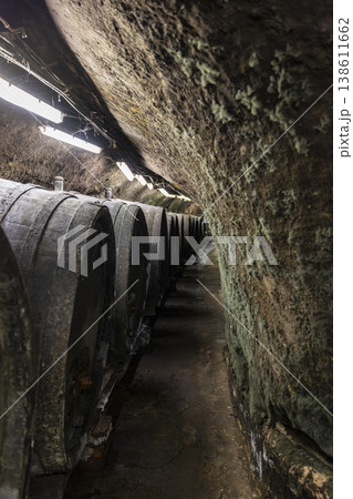Wine barrels aging in historical Znojmo underground cellar 138611662