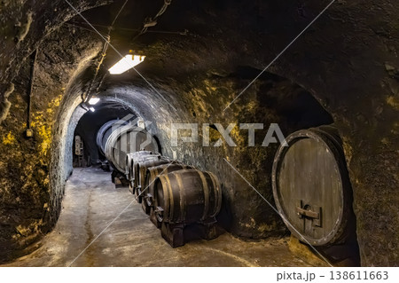 Historical wine cellar with aging barrels in Znojmo, Czechia 138611663
