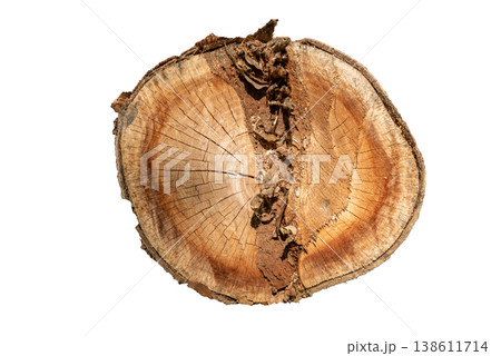 Isolated Cross Section of a Natural Tree Trunk with Visible Annual Rings 138611714
