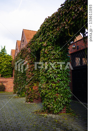 Ivy climbing on brick building wall in courtyard 138611893