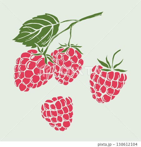 Postage Stamp With Raspberries Vector Illustration 138612104