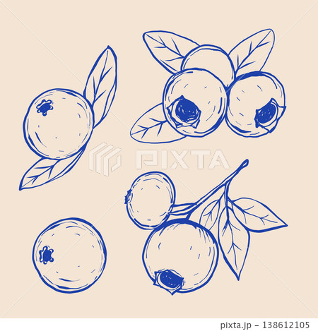 Blueberry and lingonberry. Black line sketch collection of fruits and berries isolated on white background. Doodle hand drawn fruits. Vector illustration Blueberry and lingonberry. Black line sketch collection of fruits and berries isolated on white background. Doodle hand drawn fruits. Vector illustration 138612105