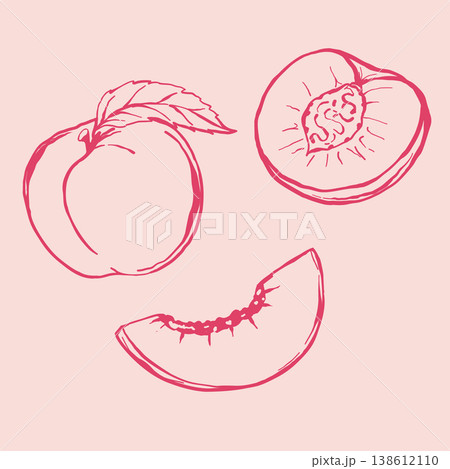 Summer sweet peach sketchy illustration. Whole fruit with leaf and slice. Handdrawn vector lineart. Summer sweet peach sketchy illustration. Whole fruit with leaf and slice. Handdrawn vector lineart. 138612110