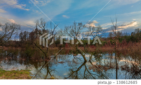 Moody panorama of bare trees reflected in flooded marshland under a dramatic sky 138612685