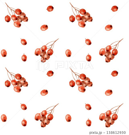 Seamless pattern of red barberry or rowan berries . Hand-drawn watercolor illustration on an isolated background. Clip art for textiles, wrapping paper, and design. Seamless pattern of red barberry or rowan berries . Hand-drawn watercolor illustration on an isolated background. Clip art for textiles, wrapping paper, and design. 138612930