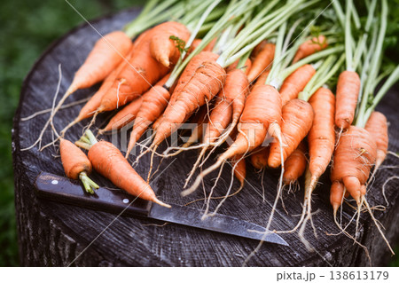 Organic carrot bunch with green tops Organic carrot bunch with green tops 138613179