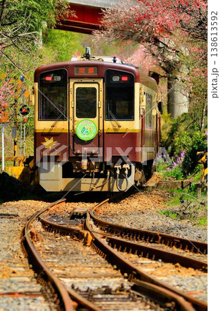 花桃と桜の鉄路… 春の『わたらせ渓谷鐵道』神戸駅にて 138613592