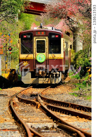 花桃と桜の鉄路… 春の『わたらせ渓谷鐵道』神戸駅にて 138613593