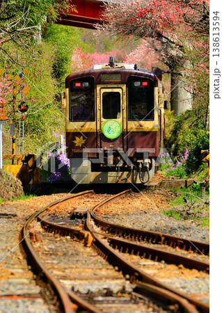 花桃と桜の鉄路… 春の『わたらせ渓谷鐵道』神戸駅にて 138613594