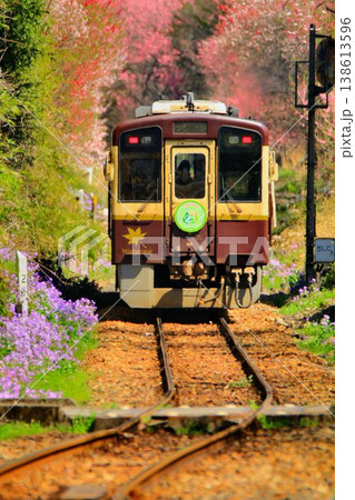 花桃と桜の鉄路… 春の『わたらせ渓谷鐵道』神戸駅にて 138613596