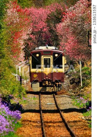 花桃と桜の鉄路… 春の『わたらせ渓谷鐵道』神戸駅にて 138613597