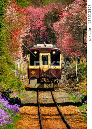 花桃と桜の鉄路… 春の『わたらせ渓谷鐵道』神戸駅にて 138613598