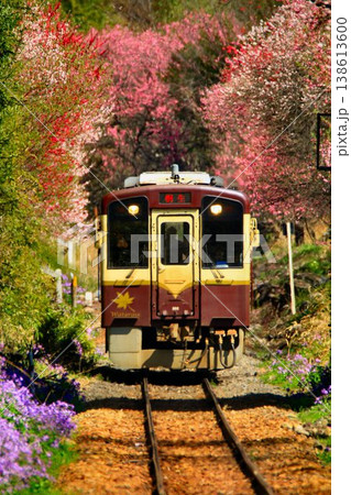 花桃と桜の鉄路… 春の『わたらせ渓谷鐵道』神戸駅にて 138613600