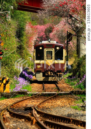 花桃と桜の鉄路… 春の『わたらせ渓谷鐵道』神戸駅にて 138613603