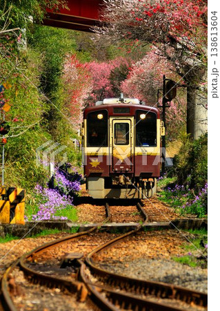 花桃と桜の鉄路… 春の『わたらせ渓谷鐵道』神戸駅にて 138613604