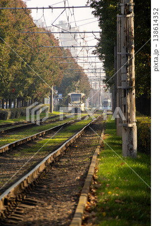 Tram urban public transport rides on rails with green grass and trees. transportation of passengers. Tram urban public transport rides on rails with green grass and trees. transportation of passengers. 138614352