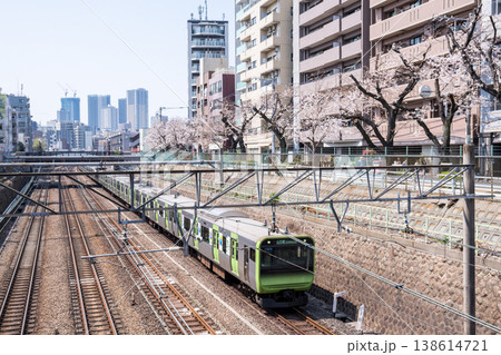 【山手線】桜並木の側を通過する山手線電車 【山手線】桜並木の側を通過する山手線電車 138614721