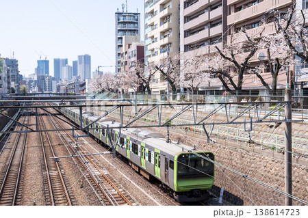 【山手線】桜並木の側を通過する山手線電車 138614723