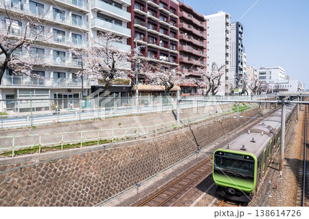 【山手線】桜並木の側を通過する山手線電車 【山手線】桜並木の側を通過する山手線電車 138614726