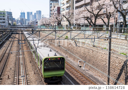 【山手線】桜並木の側を通過する山手線電車 【山手線】桜並木の側を通過する山手線電車 138614728