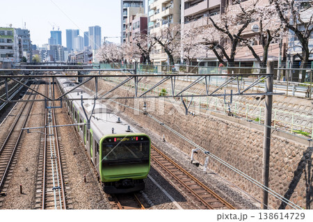【山手線】桜並木の側を通過する山手線電車 【山手線】桜並木の側を通過する山手線電車 138614729