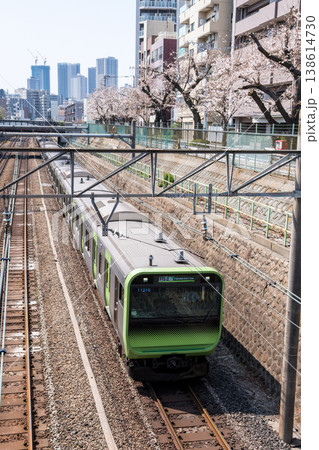 【山手線】桜並木の側を通過する山手線電車 138614730