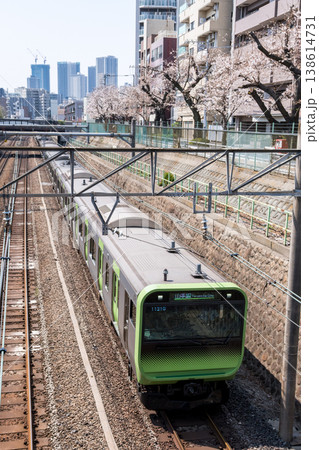 【山手線】桜並木の側を通過する山手線電車 【山手線】桜並木の側を通過する山手線電車 138614731