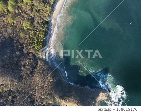 Ocean meets land at a beach with trees near the shore 138615176