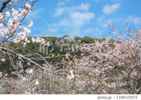 岩国城、山頂から城下を見守る白亜の天守 岩国城、山頂から城下を見守る白亜の天守 138615655