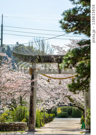 吉香公園、花々と歴史が溶け合う憩いの聖地 吉香公園、花々と歴史が溶け合う憩いの聖地 138615658