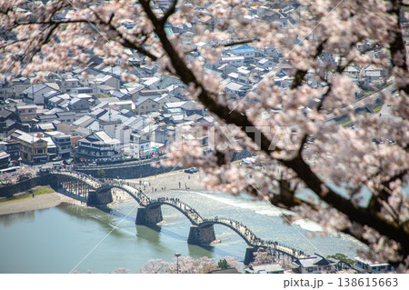 錦帯橋、幾何学美と桜が溶け合う瞬間 錦帯橋、幾何学美と桜が溶け合う瞬間 138615663