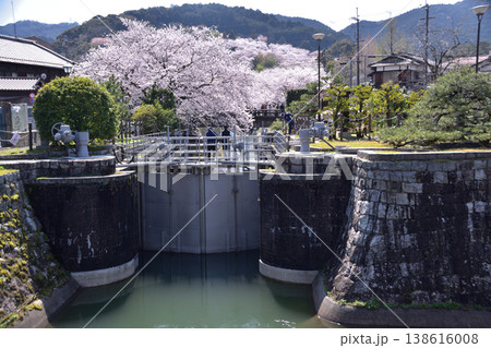 大津・琵琶湖第一疎水の大津閘門と桜 大津・琵琶湖第一疎水の大津閘門と桜 138616008