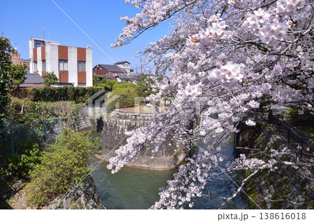 大津・琵琶湖第一疎水の桜と大津閘門 大津・琵琶湖第一疎水の桜と大津閘門 138616018