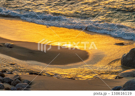 金色に輝く砂浜 環境エコのイメージ画像(秋 金色に輝く砂浜 環境エコのイメージ画像(秋 138616119