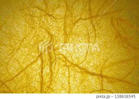 黄色の網目状テクスチャ背景 138616545