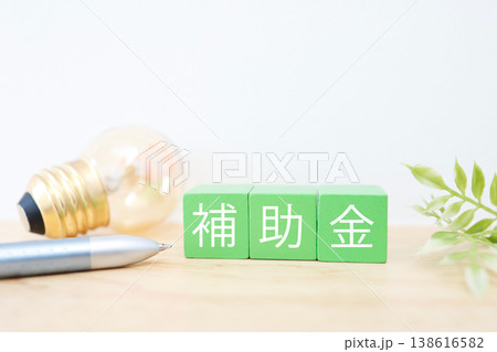 補助金をテーマにした電球と緑ブロック文字のビジネスイメージ 補助金をテーマにした電球と緑ブロック文字のビジネスイメージ 138616582