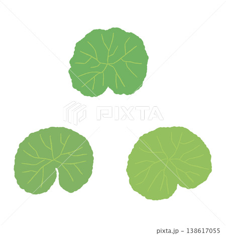 ツボクサの茎がない3枚の葉（真上からの視点）イラストセット 138617055