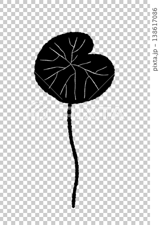 A vertical, monochrome silhouette illustration of a centella asiatica plant with its long, straight stem. A vertical, monochrome silhouette illustration of a centella asiatica plant with its long, straight stem. 138617086