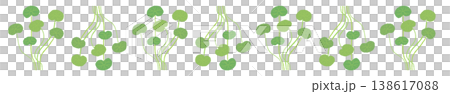 A horizontal border illustration decoration featuring lush, green clumps of centella asiatica. A horizontal border illustration decoration featuring lush, green clumps of centella asiatica. 138617088