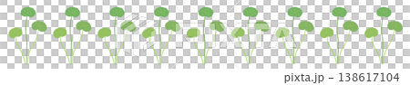 A horizontal border illustration decoration featuring clusters of slender Centella asiatica stems. A horizontal border illustration decoration featuring clusters of slender Centella asiatica stems. 138617104