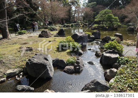 しだれ梅薫る京都城南宮の春 しだれ梅薫る京都城南宮の春 138617301