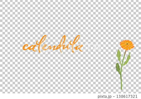 A horizontal message card template featuring diagonally arranged calendula flowers. A horizontal message card template featuring diagonally arranged calendula flowers. 138617321
