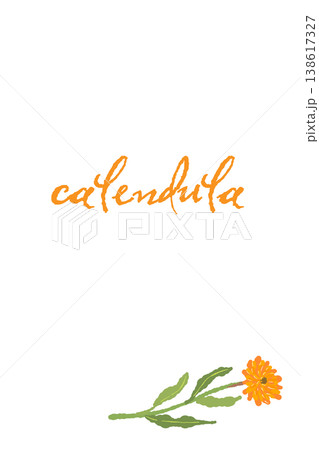 カレンデュラの斜めの花をあしらった縦長メッセージカードテンプレート カレンデュラの斜めの花をあしらった縦長メッセージカードテンプレート 138617327