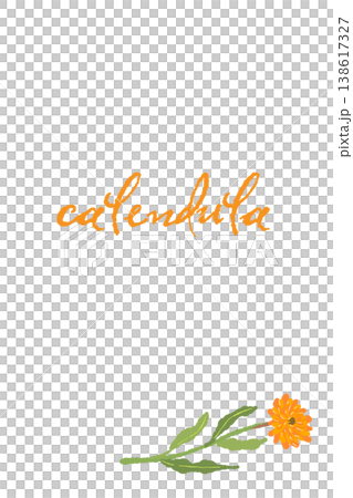 カレンデュラの斜めの花をあしらった縦長メッセージカードテンプレート カレンデュラの斜めの花をあしらった縦長メッセージカードテンプレート 138617327