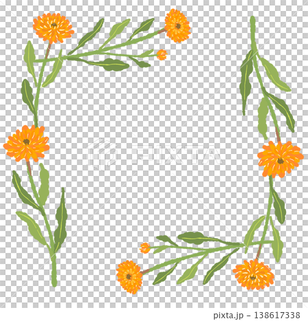 カレンデュラの花と葉の四角いフレームイラスト素材 カレンデュラの花と葉の四角いフレームイラスト素材 138617338