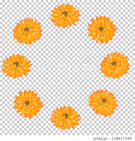 僅以金盞花為圖案的圓形花環插圖。 138617344