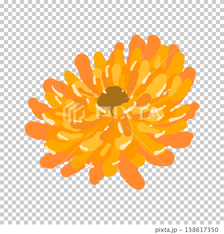 カレンデュラの単体の花（横・斜めアングル）のイラスト 138617350