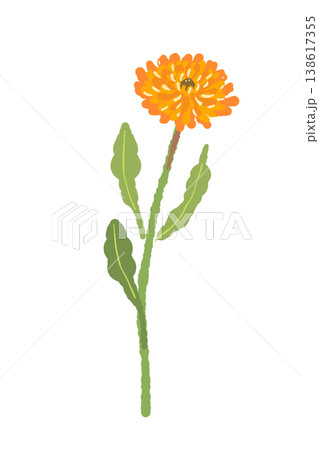 カレンデュラの真っ直ぐな茎が付いた花単体イラスト素材 カレンデュラの真っ直ぐな茎が付いた花単体イラスト素材 138617355