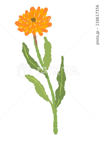 カレンデュラの少し曲がった茎が付いた花単体イラスト カレンデュラの少し曲がった茎が付いた花単体イラスト 138617356